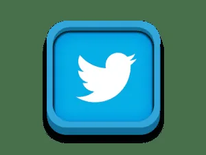 tweeter icon 300x225
